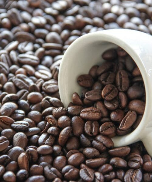 Three Delaware Coffee Roasters Redefining Specialty Coffee