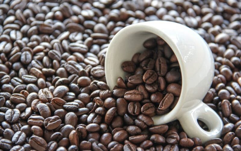 Three Delaware Coffee Roasters Redefining Specialty Coffee