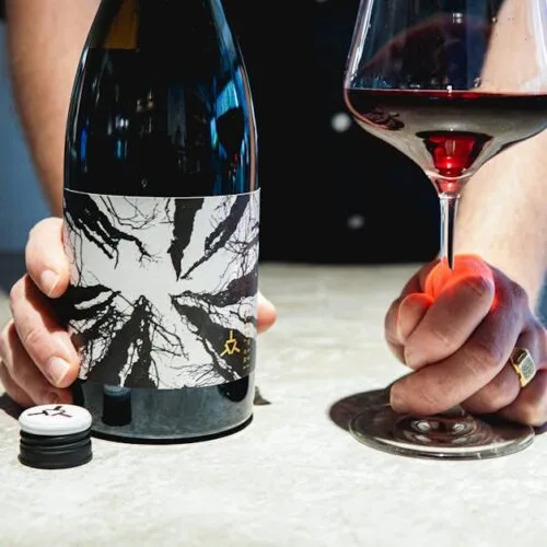 The Hidden Vineyards Shaping the Future of Wine