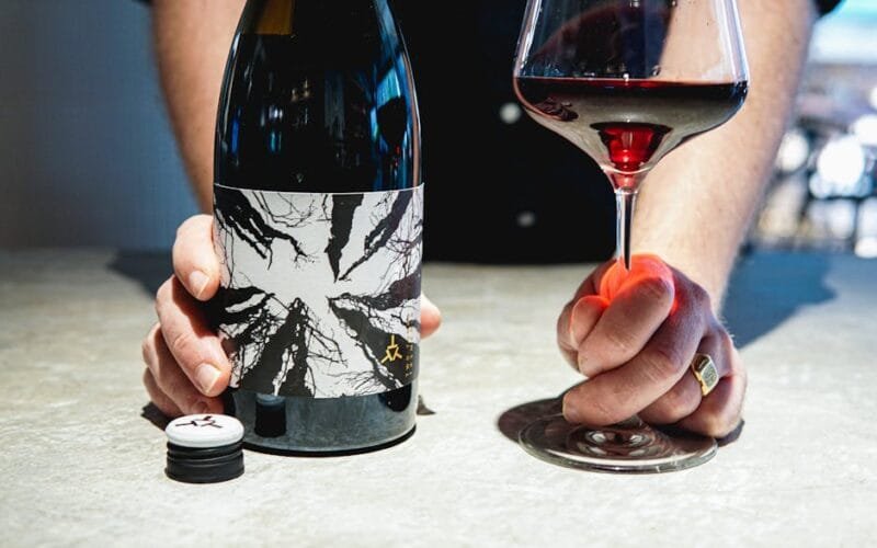 The Hidden Vineyards Shaping the Future of Wine