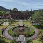 The Aged Sumatra Thats Rewriting the Rules of Coffee Aging