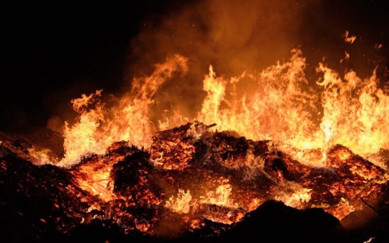 Uneven Roasts Whats Causing the Split in Your Batch