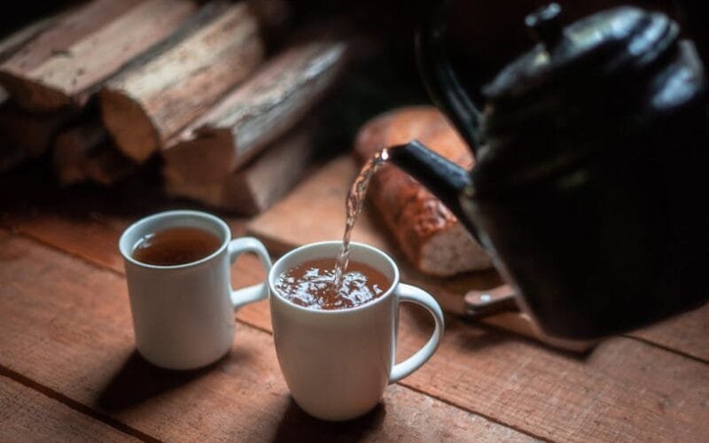 World Tea Expos Identity Crisis Is It Still a Specialty Tea Show