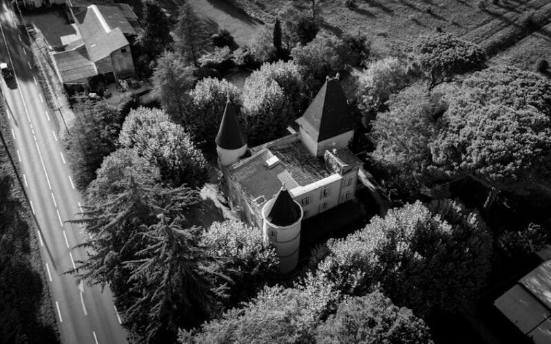 A Symphony of Fruit Chateau Rayas 2012s Unforgettable Profile