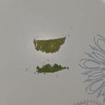 The Ippodo Matcha Revelation