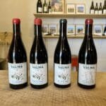 Fleuries Hidden Gem Domaine Valmas Bold Approach to Beaujolais