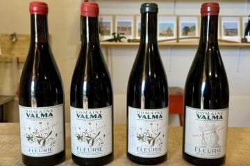 Fleurie’s Hidden Gem: Domaine Valma’s Bold Approach to Beaujolais