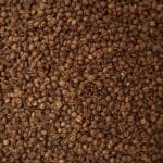 The First Roast Navigating the CBR-101s First Crack