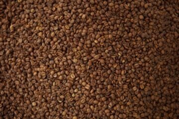 The First Roast: Navigating the CBR-101’s First Crack