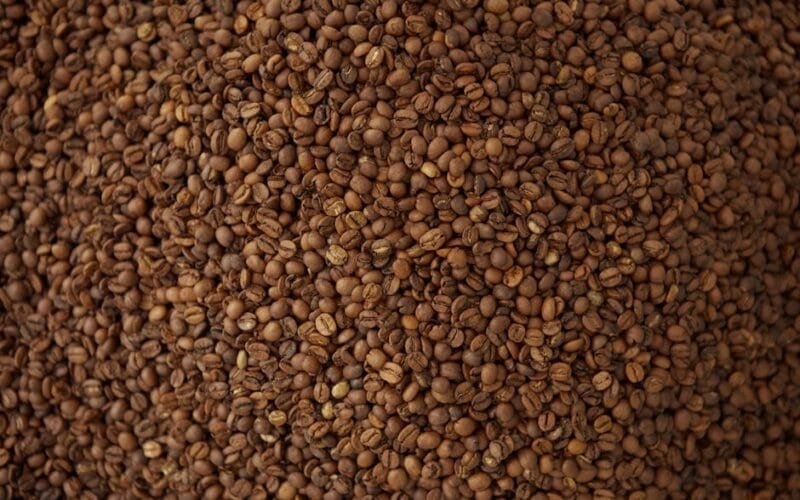 The First Roast Navigating the CBR-101s First Crack