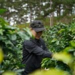 Global Coffee Awards Unveil 2026 Expansion and World Champion