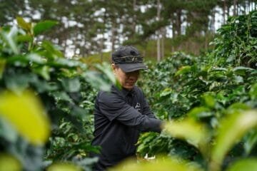 Global Coffee Awards Unveil 2026 Expansion and World Champion