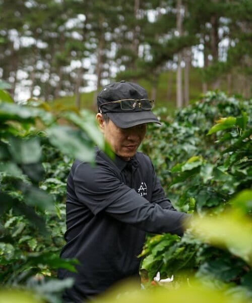 Global Coffee Awards Unveil 2026 Expansion and World Champion
