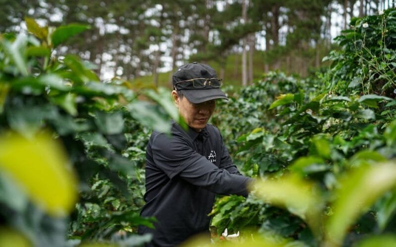 Global Coffee Awards Unveil 2026 Expansion and World Champion