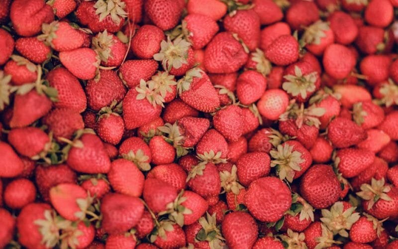 Strawberry Matcha The Sweet Controversy