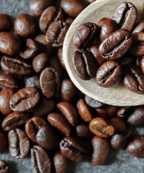Mastering the Climate: How Environmental Factors Shape Coffee Roasting