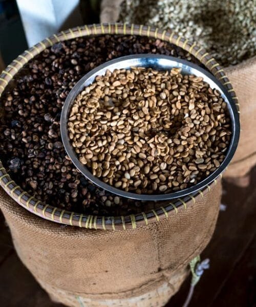 How do Japanese coffee shops master the art of precision with fewer grinders?