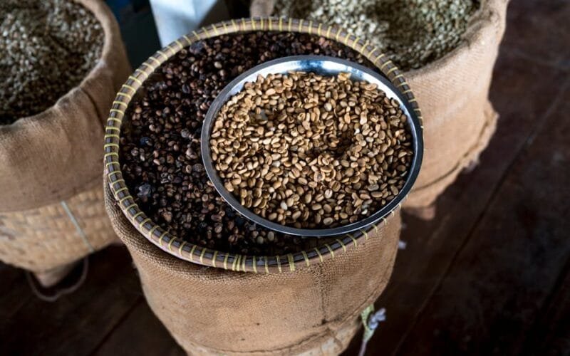 How do Japanese coffee shops master the art of precision with fewer grinders