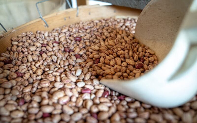 Decaf Coffee Stales FasterHeres Why It Matters