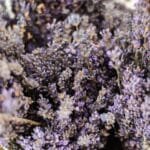 Lavender Simple Syrup Just Outshines Store-Bought Sugar