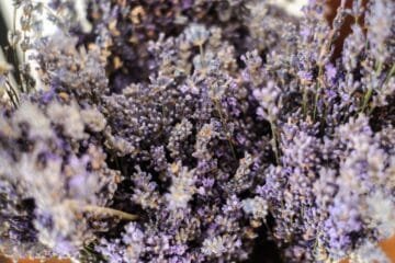 Lavender Simple Syrup Just Outshines Store-Bought Sugar