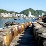 Fermentations Rise Is the Coffee World Overlooking Organic