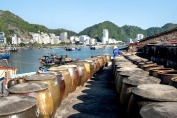 Fermentation’s Rise: Is the Coffee World Overlooking Organic?