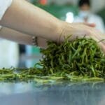 The Xiaguan Love Forever Puerh A Masterclass in Evolution