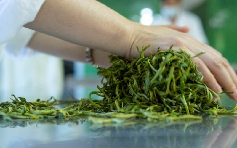 The Xiaguan Love Forever Puerh A Masterclass in Evolution