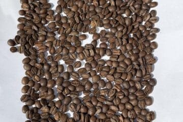 When Light Meets Full City: A Roast That Defied Expectations