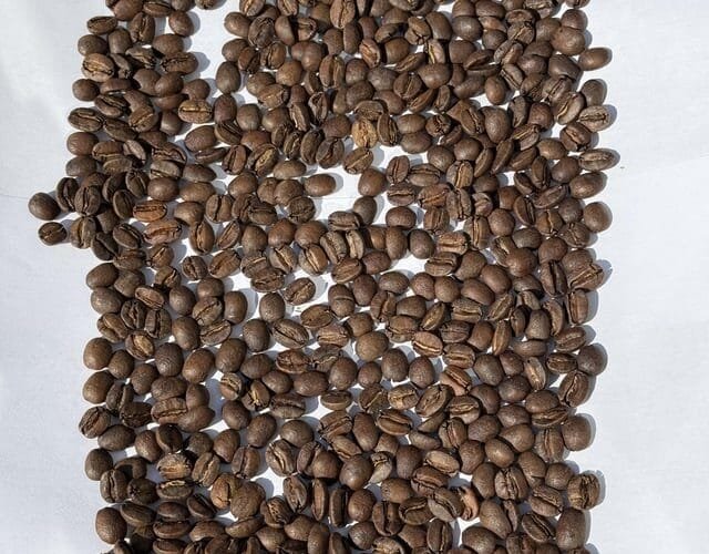 When Light Meets Full City A Roast That Defied Expectations