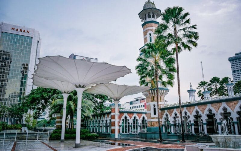 Why Malaysias Puerhui Tea Age Game Is Winning Over Thailand