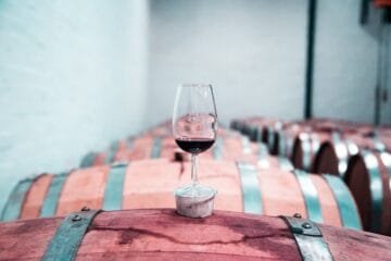The Winery Owner’s Dilemma: Surviving 2026’s Wine Industry Quagmire