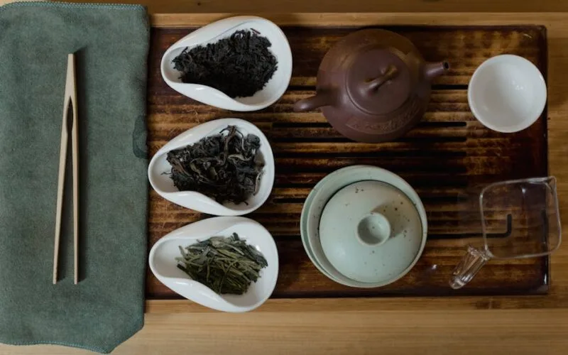 The Sweetest Battle of the Gu Shu: Round 1 of the 2026 Puer Tournament