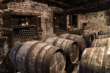 From Hobby to Legacy: How Marlène Soria Built a Languedoc Winemaking Icon