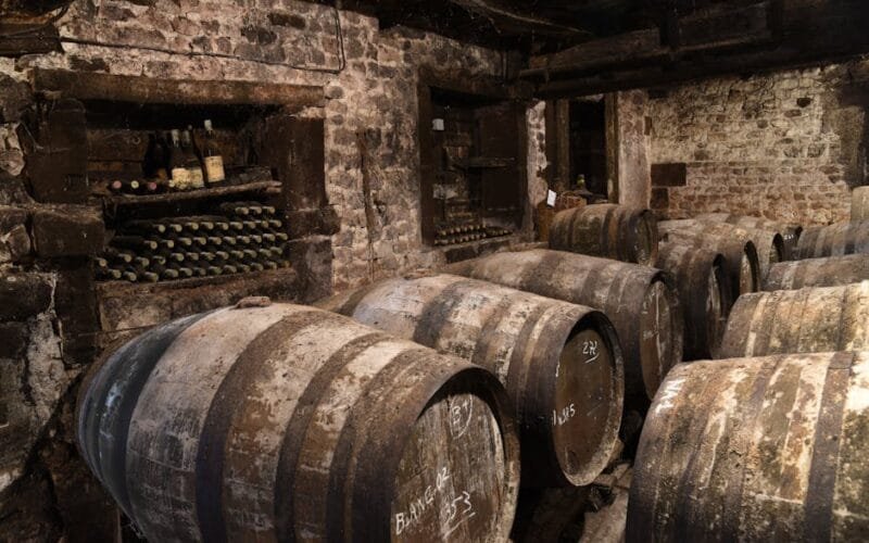 From Hobby to Legacy How Marlène Soria Built a Languedoc Winemaking Icon