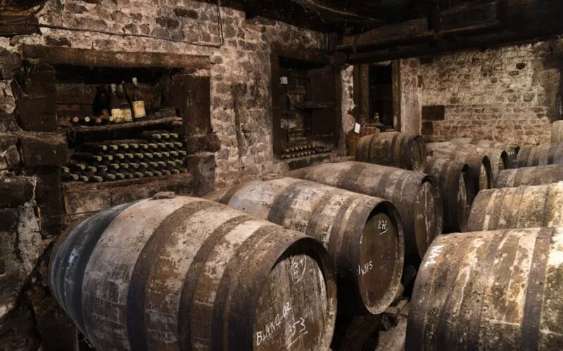 From Hobby to Legacy How Marlène Soria Built a Languedoc Winemaking Icon