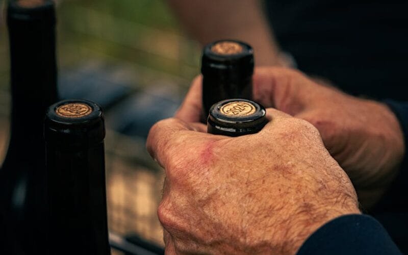The Visionary Behind Gérard Bertrands Winemaking Revolution