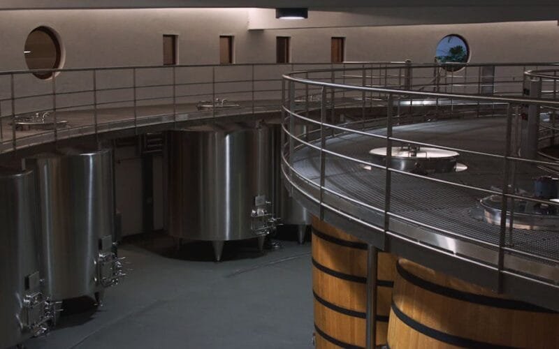 The Art of Balance Sebastián Labbés Philosophy of Winemaking