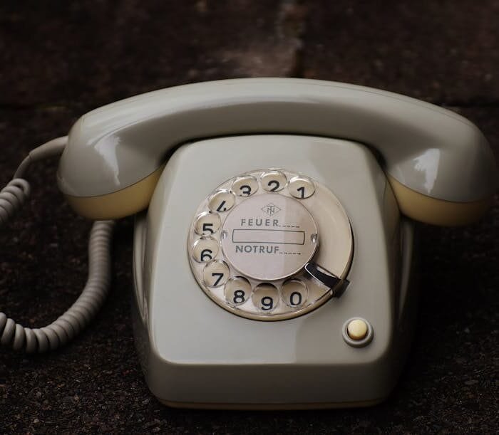 From Ritual to Revolution: How Matcha Went Global