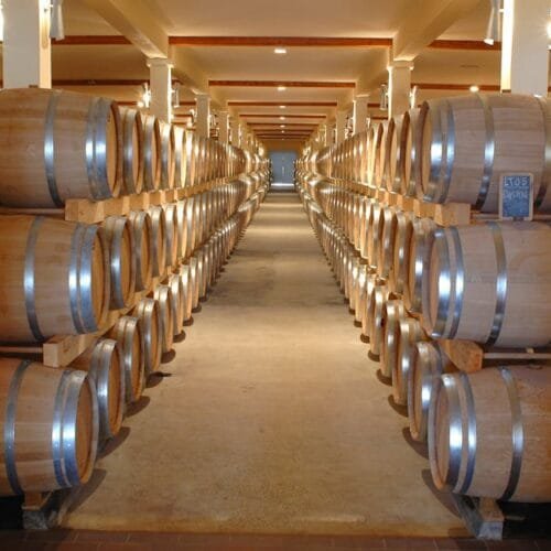 The Quiet Revolution of Natural Wines in 2026