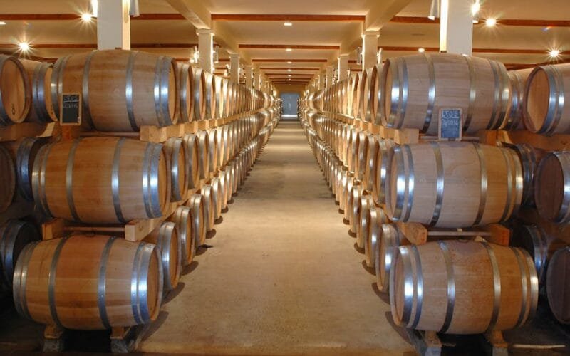 The Quiet Revolution of Natural Wines in 2026