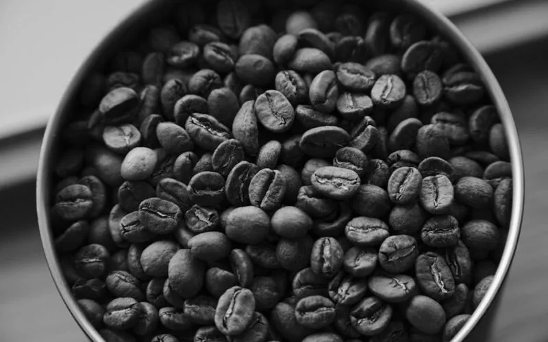 Mastering the Behmor 2000ab: Fixing Grassiness in Honduran Roasts