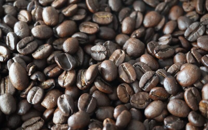 Dark Roast Mastery Aillio R2 Pro Tips for a Bold Blend