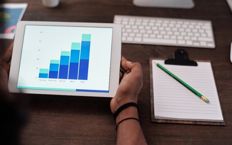 A Tea Lovers Quest for the Next Great Cup