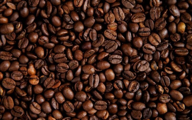 The Perfect Bean Selection for Your Roasting Journey