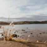 The Kiwi Wine Experiment A Night of Contrasts and Curiosities