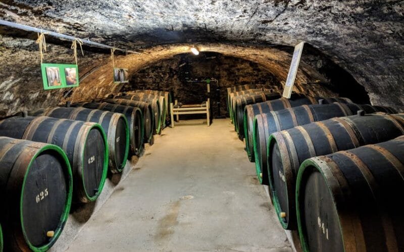 Step Into the Heart of Amador’s Winemaking Magic