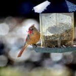 Prairie House Coffee Unveils Its First Retail Space at Orlando Roastery