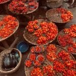 El Salvadors Coffee Revolution African Varieties Redefine the Specialty Scene